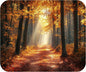 Fall Season Mouse Pad Mat Mousepad for Desk Computer Laptop PC Gaming Home or Office Gift (Fall Path MP84)
